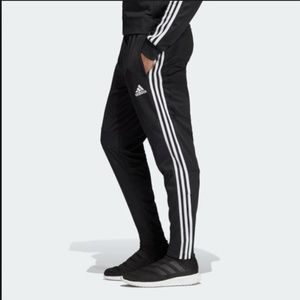 adidas Men's Training Pant